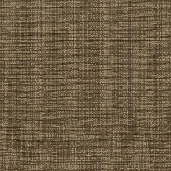 In Flux Latte by Kasmir Fabric 1438 100% Cotton INDIA 15,000 Wyzenbeek Double Rubs Horizontal: 0 Inches and Vertical: 0 Inches 54 - 55 - Fabric Carolina -