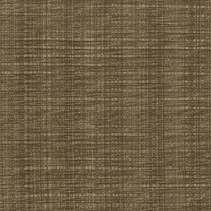 In Flux Latte by Kasmir Fabric 1438 INDIA 15,000 Wyzenbeek Double Rubs H: N/A, V:N/A 54 - 55 - Fabric Carolina - Kasmir