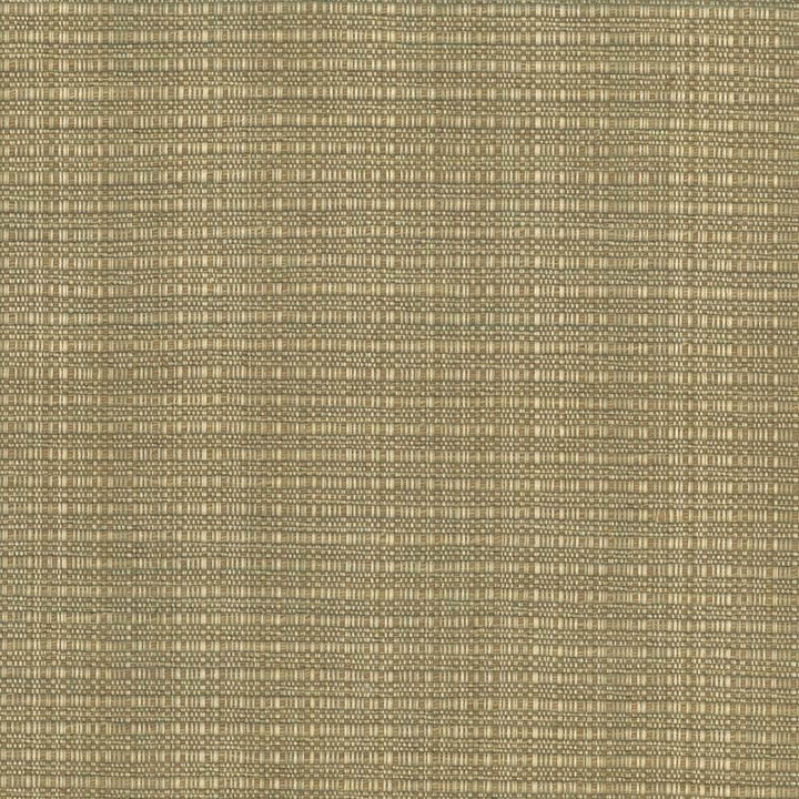 In Flux Linen by Kasmir Fabric 1439 INDIA 15,000 Wyzenbeek Double Rubs H: N/A, V:N/A 54 - 55 - Fabric Carolina - Kasmir