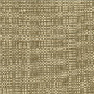 In Flux Linen by Kasmir Fabric 1439 100% Cotton INDIA 15,000 Wyzenbeek Double Rubs H: N/A, V: N/A 54 - 55 - Fabric Carolina - Kasmir