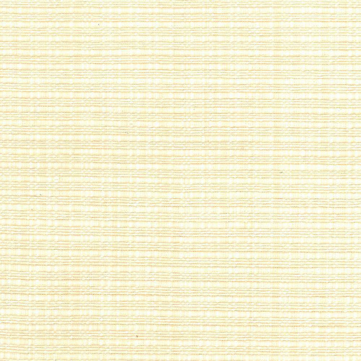 In Flux Natural by Kasmir Fabric 1439 INDIA 15,000 Wyzenbeek Double Rubs H: N/A, V:N/A 54 - 55 - Fabric Carolina - Kasmir
