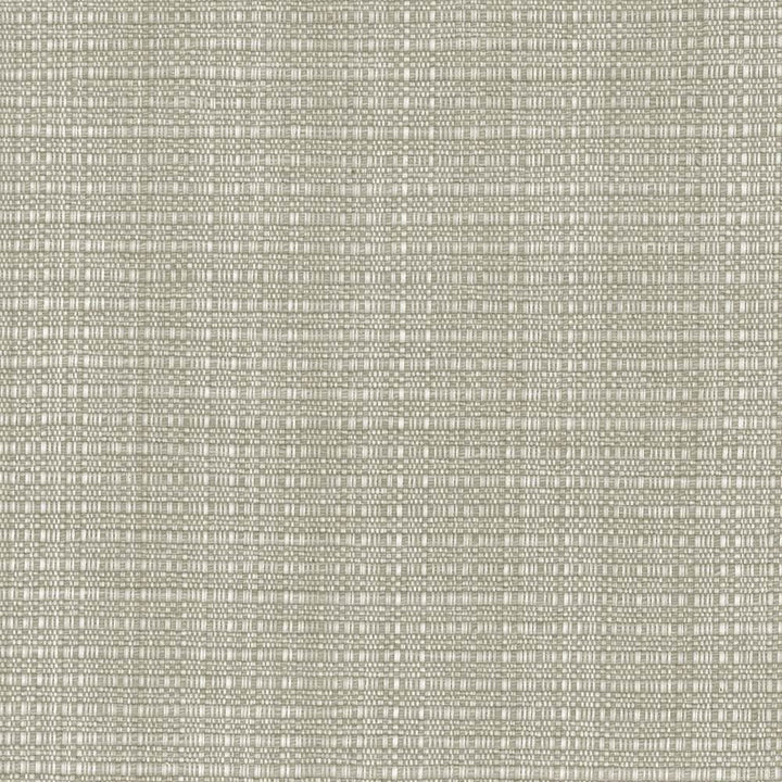 In Flux Sandstone by Kasmir Fabric 1437 100% Cotton
 INDIA 15,000 Wyzenbeek Double Rubs </p><p>Repeat: Horizontal: N/A and Vertical: N/A 54 - Fabric Carolina -