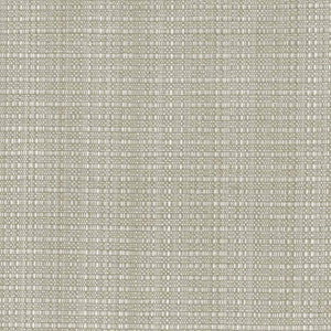 In Flux Sandstone by Kasmir Fabric