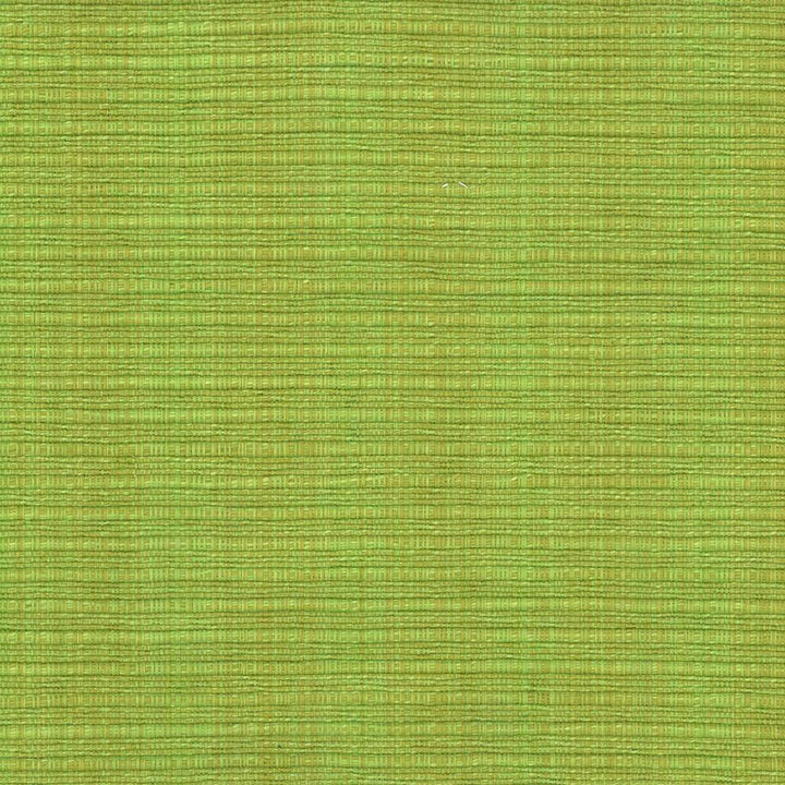 In Flux Snow Pea by Kasmir Fabric 1442 INDIA 15,000 Wyzenbeek Double Rubs H: N/A, V:N/A 54 - 55 - Fabric Carolina - Kasmir