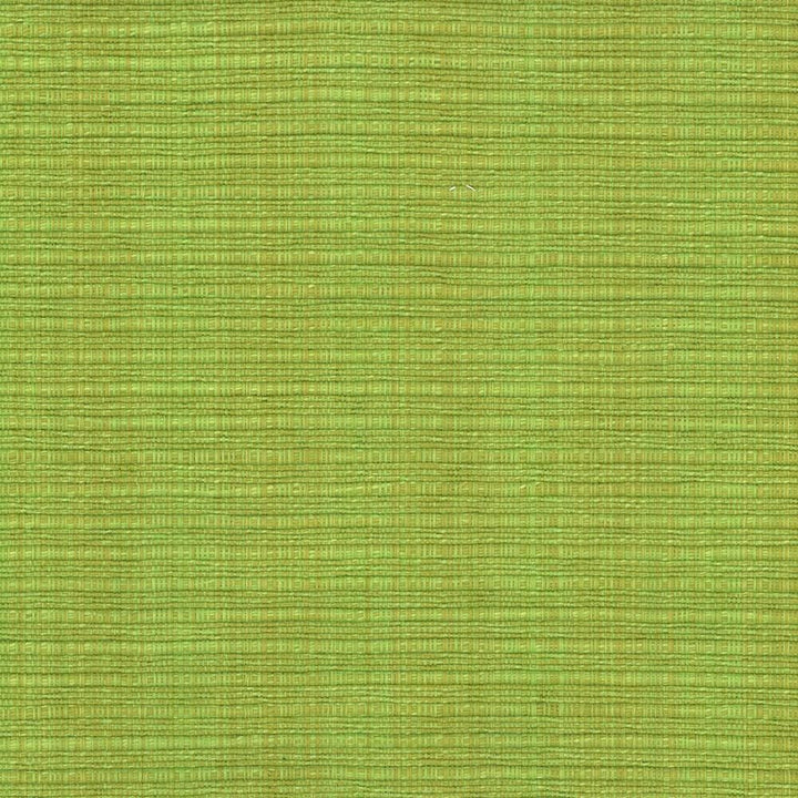 In Flux Snow Pea by Kasmir Fabric 1442 100% Cotton
 INDIA </p><p>Repeat: Horizontal: N/A and Vertical: N/A 54 - 55 - Fabric Carolina -