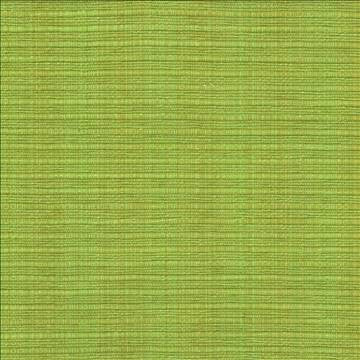 In Flux Snow Pea by Kasmir Fabric 1442 100% Cotton INDIA 15,000 Wyzenbeek Double Rubs H: N/A, V: N/A 54 - 55 - Fabric Carolina - Kasmir