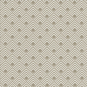 Indicate Grey by Kasmir Fabric