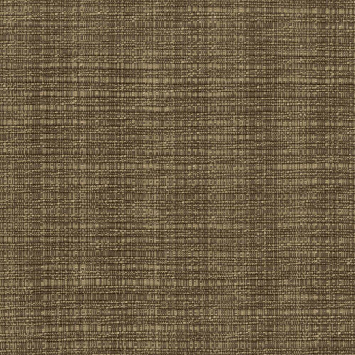 In Flux Latte by Kasmir Fabric 1438 100% Cotton
 INDIA </p><p>Repeat: Horizontal: N/A and Vertical: N/A 54 - 55 - Fabric Carolina -