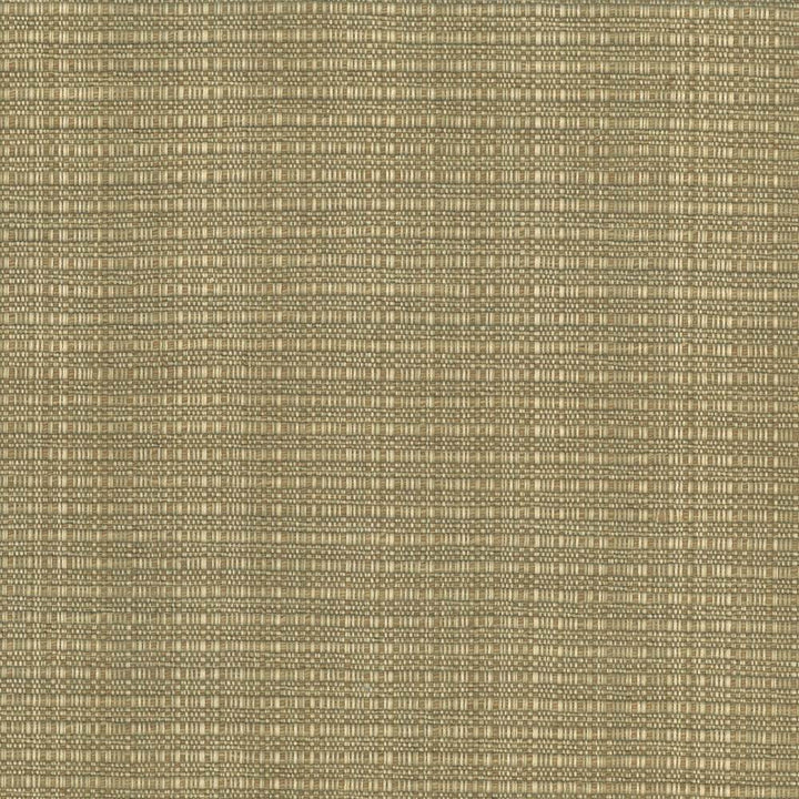 In Flux Linen by Kasmir Fabric 1439 100% Cotton
 INDIA </p><p>Repeat: Horizontal: N/A and Vertical: N/A 54 - 55 - Fabric Carolina -
