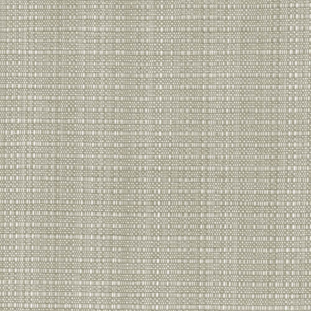In Flux Sandstone by Kasmir Fabric 1437 100% Cotton
 INDIA </p><p>Repeat: Horizontal: N/A and Vertical: N/A 54 - 55 - Fabric Carolina -