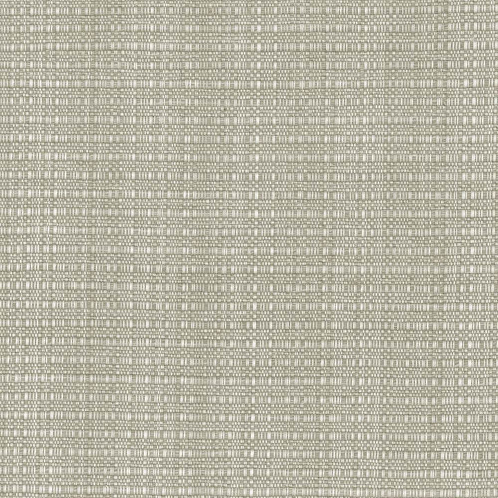 In Flux Sandstone by Kasmir Fabric 1437 100% Cotton
 INDIA </p><p>Repeat: Horizontal: N/A and Vertical: N/A 54 - 55 - Fabric Carolina -