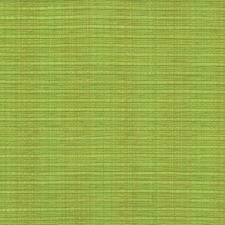 In Flux Snow Pea by Kasmir Fabric 1442 100% Cotton
 INDIA </p><p>Repeat: Horizontal: N/A and Vertical: N/A 54 - 55 - Fabric Carolina -