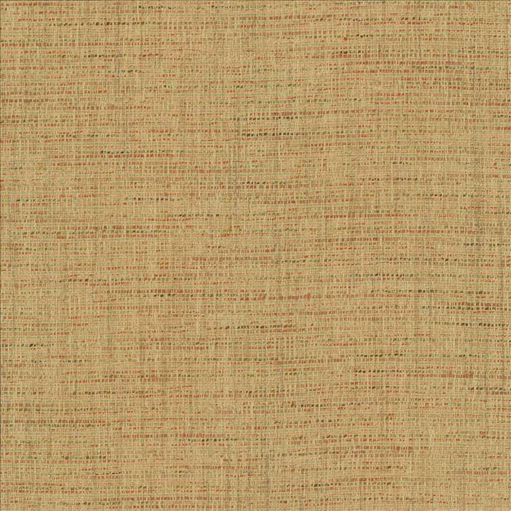 Integrity Adobe by Kasmir Fabric 5171 66% Polyester
22% Olefin
12% Cotton
 USA 50,000 Wyzenbeek Double Rubs </p><p>Repeat: Horizontal: N/A and Vertical: N/A 54 - Fabric Carolina -