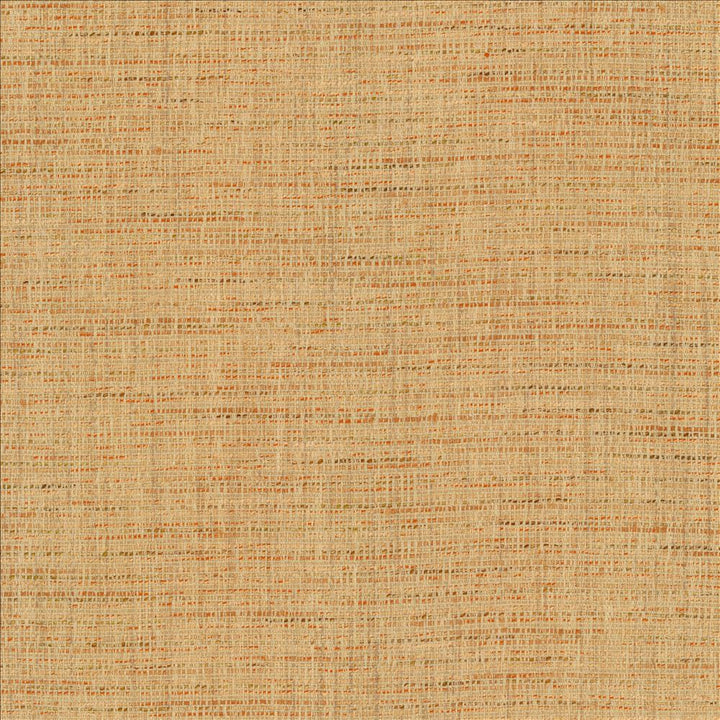 Integrity Adobe by Kasmir Fabric 5171 66% Polyester
22% Olefin
12% Cotton
 USA </p><p>Repeat: Horizontal: N/A and Vertical: N/A 54 - Fabric Carolina -