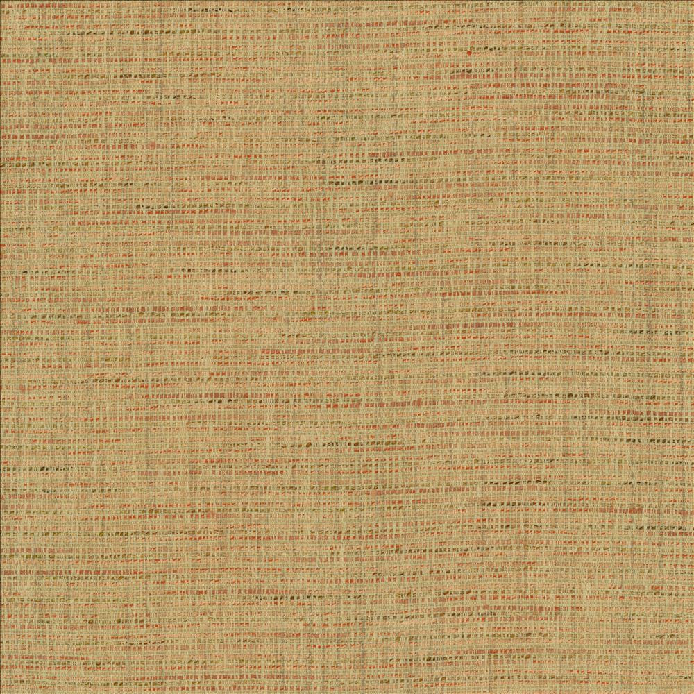 Integrity Adobe by Kasmir Fabric 5171 66% Polyester
22% Olefin
12% Cotton
 USA 50,000 Wyzenbeek Double Rubs Horizontal: N/A and Vertical: N/A 54 - Fabric Carolina -