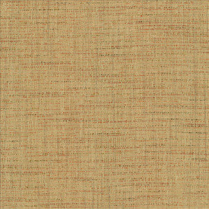 Integrity Adobe by Kasmir Fabric