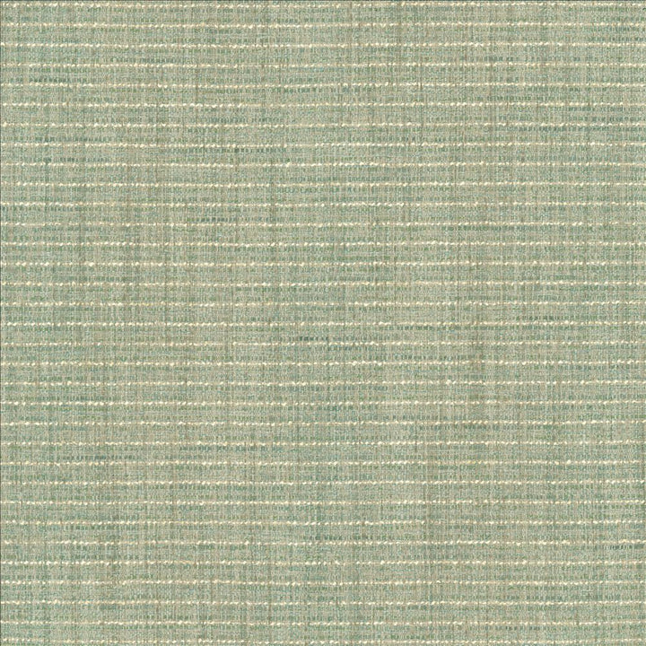 Integrity Coastal by Kasmir Fabric 5171 66% Polyester
22% Olefin
12% Cotton
 USA </p><p>Repeat: Horizontal: N/A and Vertical: N/A 54 - Fabric Carolina -