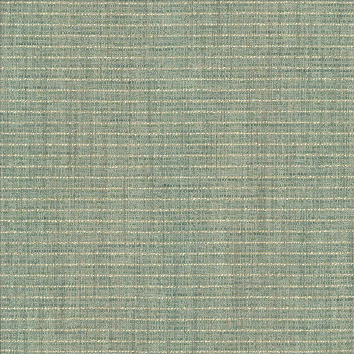 Integrity Coastal by Kasmir Fabric 5171 66% Polyester
22% Olefin
12% Cotton
 USA 50,000 Wyzenbeek Double Rubs </p><p>Repeat: Horizontal: N/A and Vertical: N/A 54 - Fabric Carolina -