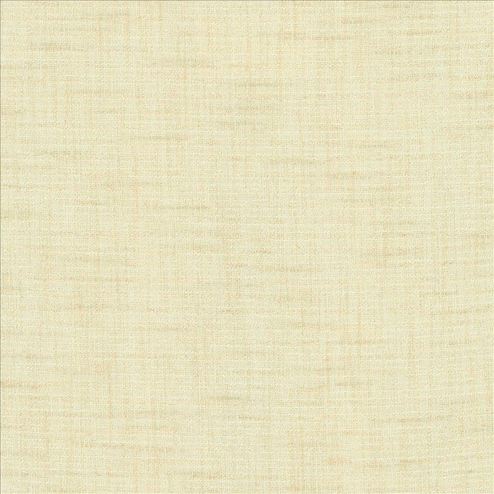 Integrity Eggshell by Kasmir Fabric 5171 66% Polyester
22% Olefin
12% Cotton
 USA 50,000 Wyzenbeek Double Rubs Horizontal: N/A and Vertical: N/A 54 - Fabric Carolina -