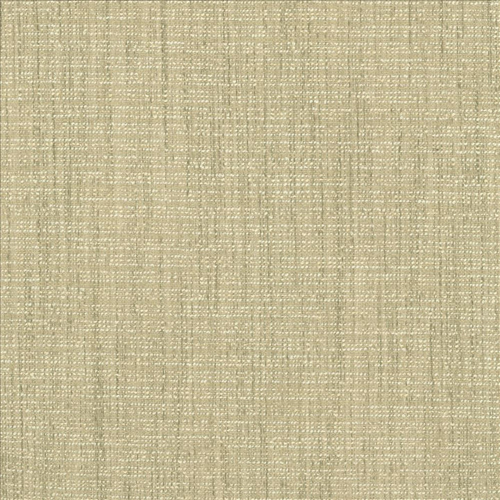 Integrity Flax by Kasmir Fabric 5171 66% Polyester
22% Olefin
12% Cotton
 USA 50,000 Wyzenbeek Double Rubs Horizontal: N/A and Vertical: N/A 54 - Fabric Carolina -