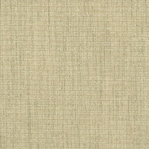 Integrity Flax by Kasmir Fabric