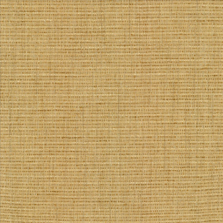 Integrity Golden by Kasmir Fabric 5171 66% Polyester
22% Olefin
12% Cotton
 USA 50,000 Wyzenbeek Double Rubs Horizontal: N/A and Vertical: N/A 54 - Fabric Carolina -