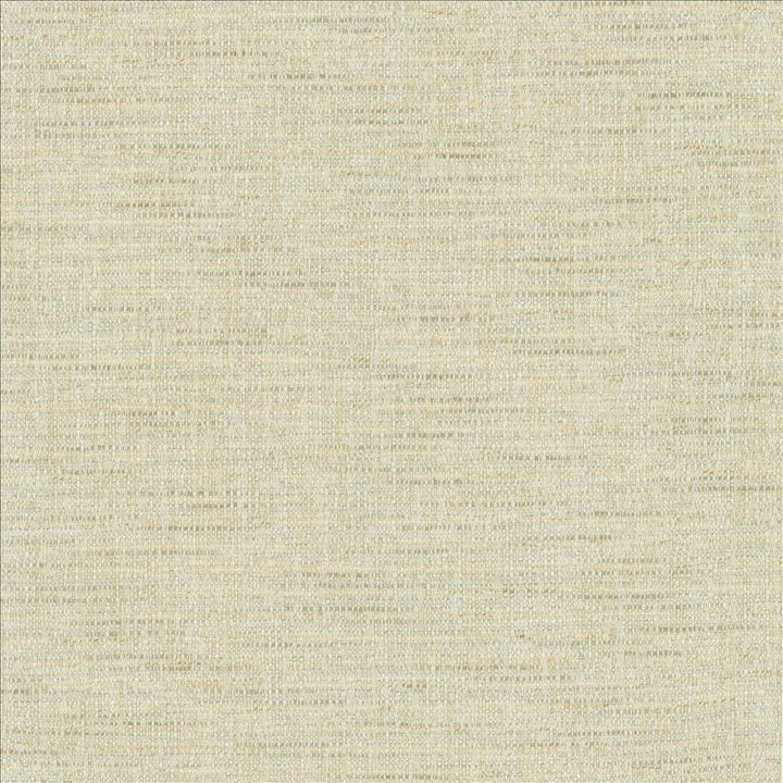 Integrity Mist by Kasmir Fabric 5171 66% Polyester
22% Olefin
12% Cotton
 USA 50,000 Wyzenbeek Double Rubs Horizontal: N/A and Vertical: N/A 54 - Fabric Carolina -