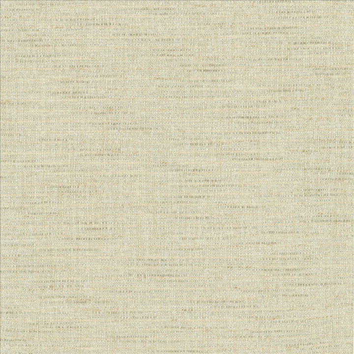 Integrity Mist by Kasmir Fabric 5171 66% Polyester
22% Olefin
12% Cotton
 USA 50,000 Wyzenbeek Double Rubs </p><p>Repeat: Horizontal: N/A and Vertical: N/A 54 - Fabric Carolina -