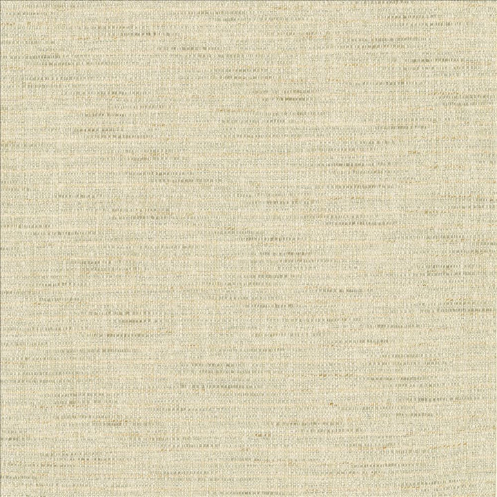Integrity Mist by Kasmir Fabric 5171 66% Polyester
22% Olefin
12% Cotton
 USA </p><p>Repeat: Horizontal: N/A and Vertical: N/A 54 - Fabric Carolina -
