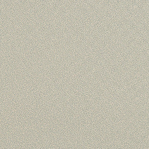 Invincible Blizzard by Kravet Contract Fabric