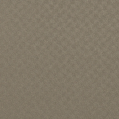 Invincible Meteor by Kravet Contract Fabric