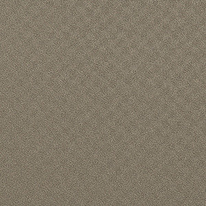 Invincible Meteor by Kravet Contract Fabric