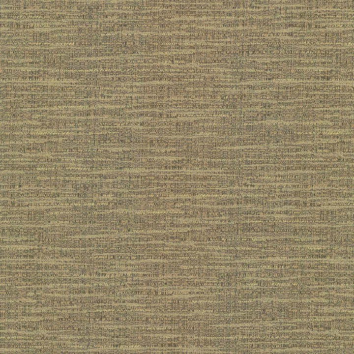 Ipanema Almond by Kasmir Fabric 5036 TAIWAN 15,000 Wyzenbeek Double Rubs H: N/A, V:N/A 54 - 55 - Fabric Carolina - Kasmir