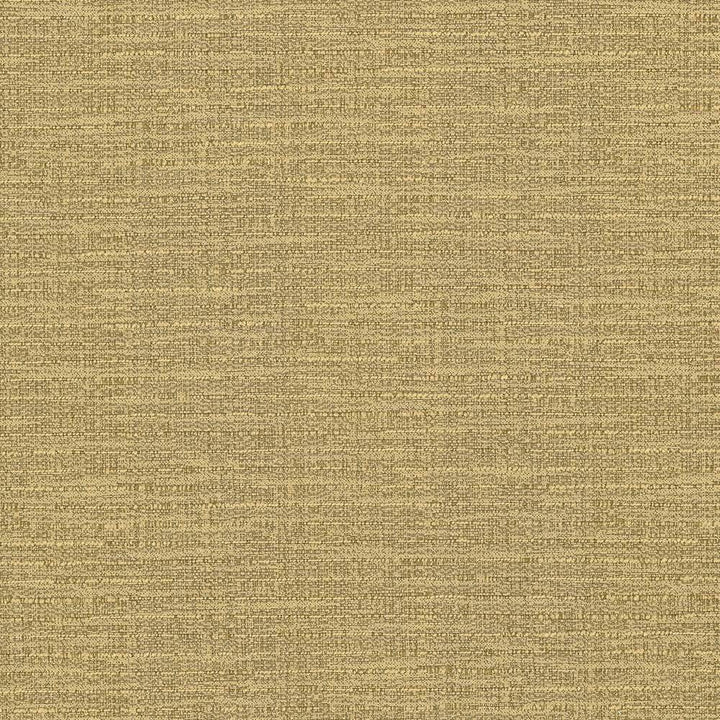 Ipanema Amber by Kasmir Fabric 5036 TAIWAN 15,000 Wyzenbeek Double Rubs H: N/A, V:N/A 54 - 55 - Fabric Carolina - Kasmir