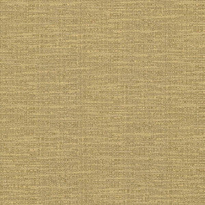 Ipanema Amber by Kasmir Fabric
