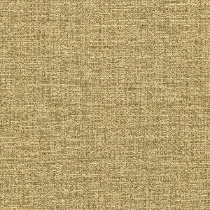 Ipanema Amber by Kasmir Fabric 5036 51% Cotton
49% Polyester
 TAIWAN 15,000 Wyzenbeek Double Rubs Horizontal: N/A and Vertical: N/A 54 - Fabric Carolina -