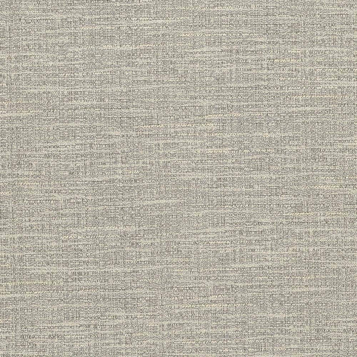 Ipanema Birch by Kasmir Fabric 5036 TAIWAN 15,000 Wyzenbeek Double Rubs H: N/A, V:N/A 54 - 55 - Fabric Carolina - Kasmir