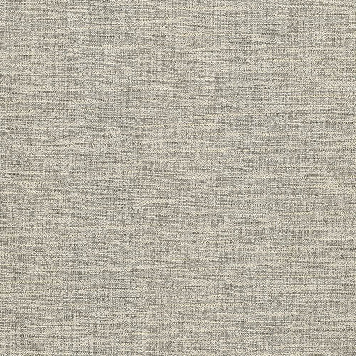 Ipanema Birch by Kasmir Fabric 5036 51% Cotton
49% Polyester
 TAIWAN 15,000 Wyzenbeek Double Rubs Horizontal: N/A and Vertical: N/A 54 - Fabric Carolina -