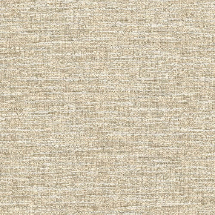 Ipanema Brie by Kasmir Fabric 5036 51% Cotton
49% Polyester
 TAIWAN </p><p>Repeat: Horizontal: N/A and Vertical: N/A 54 - 55 - Fabric Carolina -