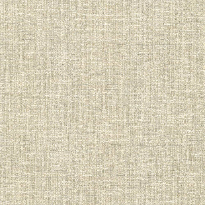 Ipanema Cameo by Kasmir Fabric 5036 TAIWAN 15,000 Wyzenbeek Double Rubs H: N/A, V:N/A 54 - 55 - Fabric Carolina - Kasmir