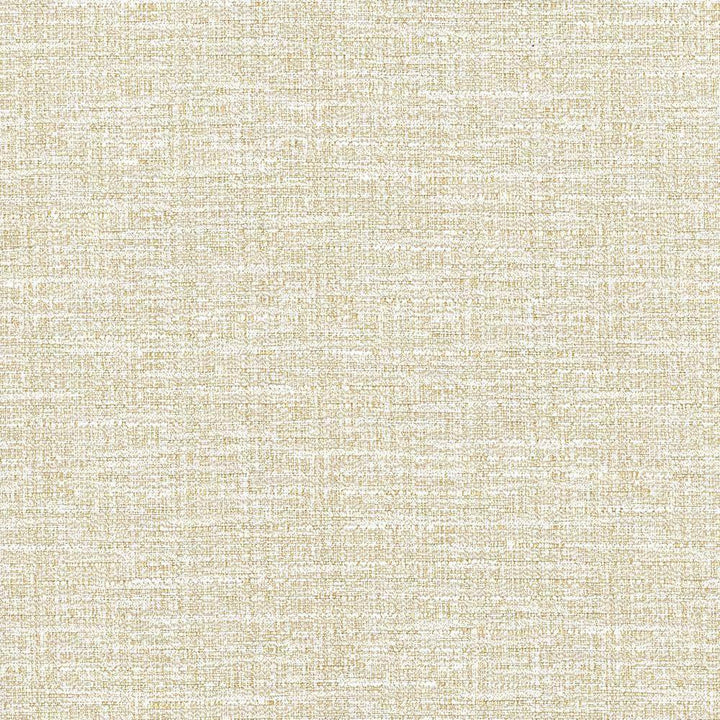 Ipanema Canvas by Kasmir Fabric 5036 TAIWAN 15,000 Wyzenbeek Double Rubs H: N/A, V:N/A 54 - 55 - Fabric Carolina - Kasmir