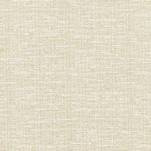 Ipanema Canvas by Kasmir Fabric