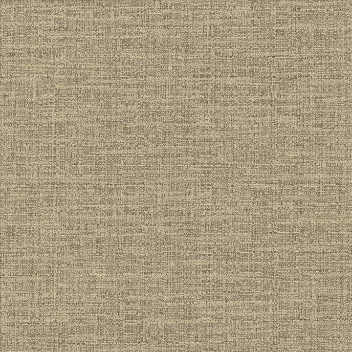 Ipanema Cashmere by Kasmir Fabric 5181 59% Cotton
41% Polyester
 TAIWAN </p><p>Repeat: Horizontal: N/A and Vertical: N/A 54 - 55 - Fabric Carolina -