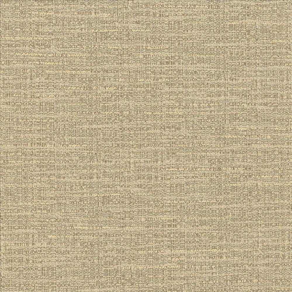 Ipanema Cashmere by Kasmir Fabric 5036 59% Cotton
41% Polyester
 TAIWAN 12,000 Wyzenbeek Double Rubs </p><p>Repeat: Horizontal: N/A and Vertical: N/A 54 - Fabric Carolina -
