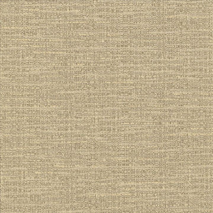Ipanema Cashmere by Kasmir Fabric 5036 59% Cotton
41% Polyester
 TAIWAN 12,000 Wyzenbeek Double Rubs </p><p>Repeat: Horizontal: N/A and Vertical: N/A 54 - Fabric Carolina -