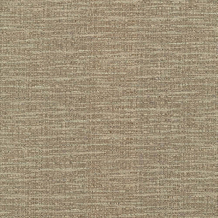 Ipanema Cocoa by Kasmir Fabric 5036 TAIWAN 15,000 Wyzenbeek Double Rubs H: N/A, V:N/A 54 - 55 - Fabric Carolina - Kasmir
