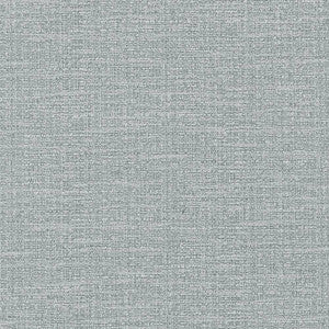 Ipanema Drizzle by Kasmir Fabric