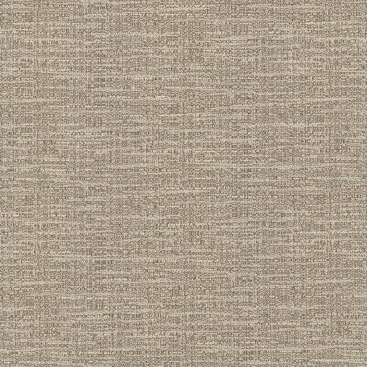 Ipanema Earth by Kasmir Fabric 5036 TAIWAN 15,000 Wyzenbeek Double Rubs H: N/A, V:N/A 54 - 55 - Fabric Carolina - Kasmir