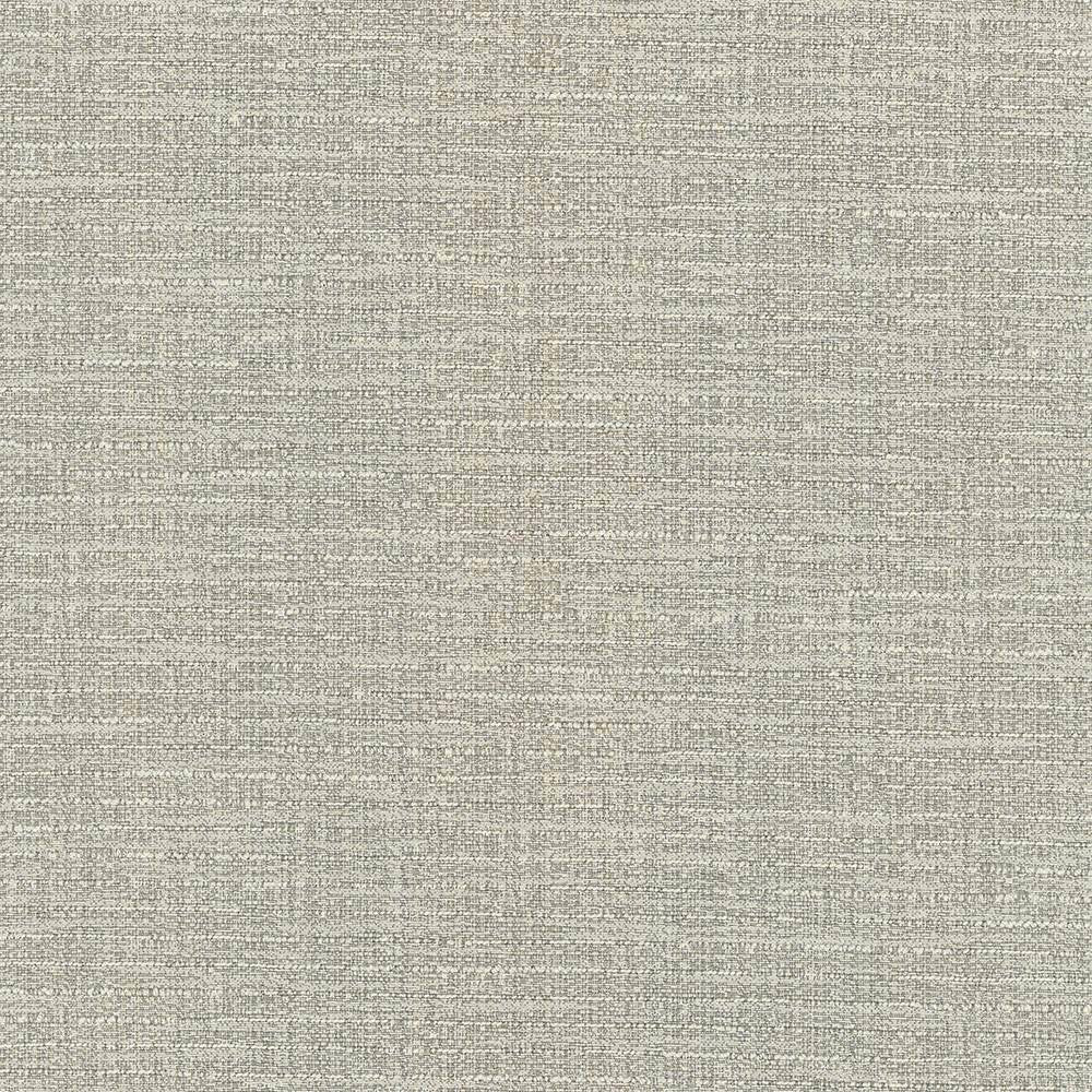 Ipanema Fawn by Kasmir Fabric 5036 TAIWAN 15,000 Wyzenbeek Double Rubs H: N/A, V:N/A 54 - 55 - Fabric Carolina - Kasmir
