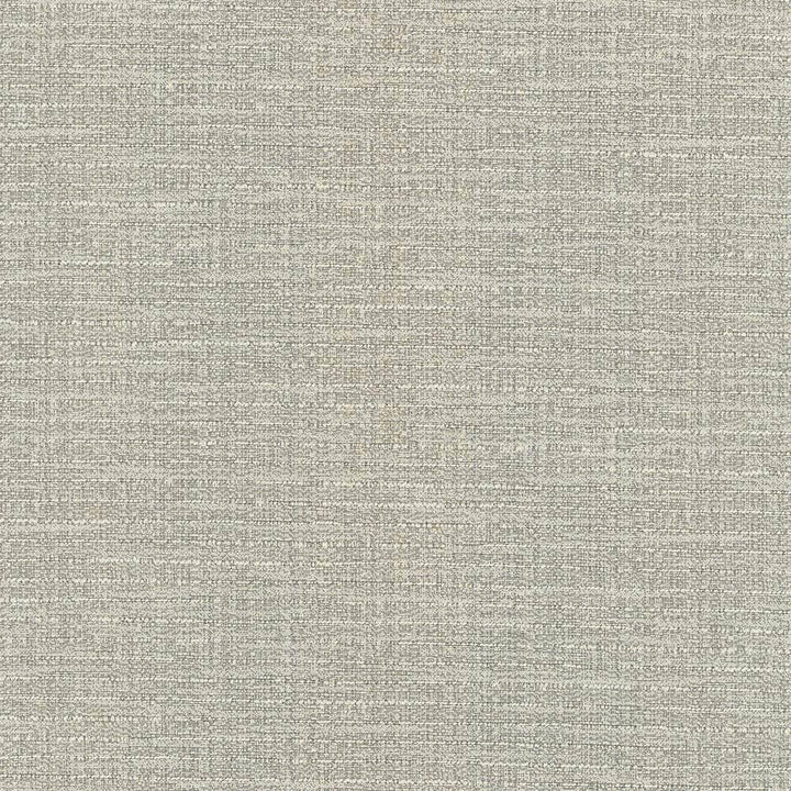 Ipanema Fawn by Kasmir Fabric 5036 TAIWAN 15,000 Wyzenbeek Double Rubs H: N/A, V:N/A 54 - 55 - Fabric Carolina - Kasmir